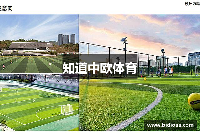 知道中欧体育